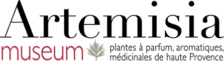 Artemisia Museum Logo