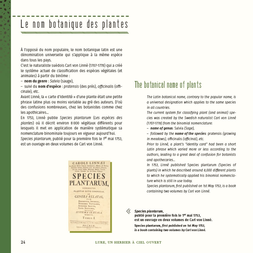 Extrait du livre Savoureuse histoire des plantes en haute Provence