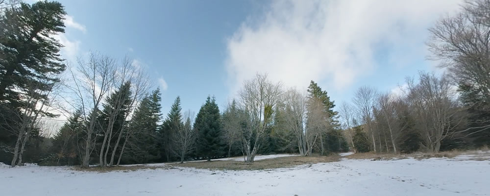 Visite immersive en 360° avec casque sur les 4 saisons de la Montagne Lure, en Haute-Provence : les sorbiers en hiver