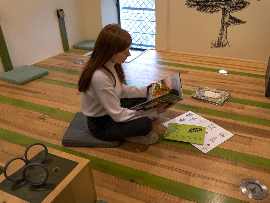 Groupe scolaire ou de vacances : Artemisia museum éligible au pass culture : découvrir les plantes de la Montagne de Lure, en Haute Provence