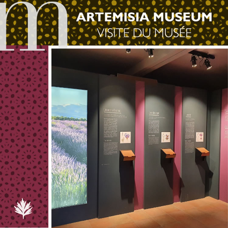 Visite libre du musée