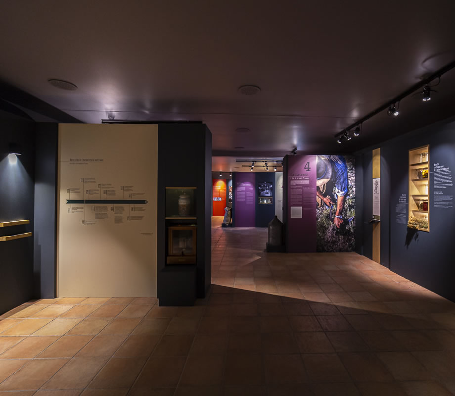 Les parcours de l'Artemisia museum à Forcalquier : vue d'ensemble