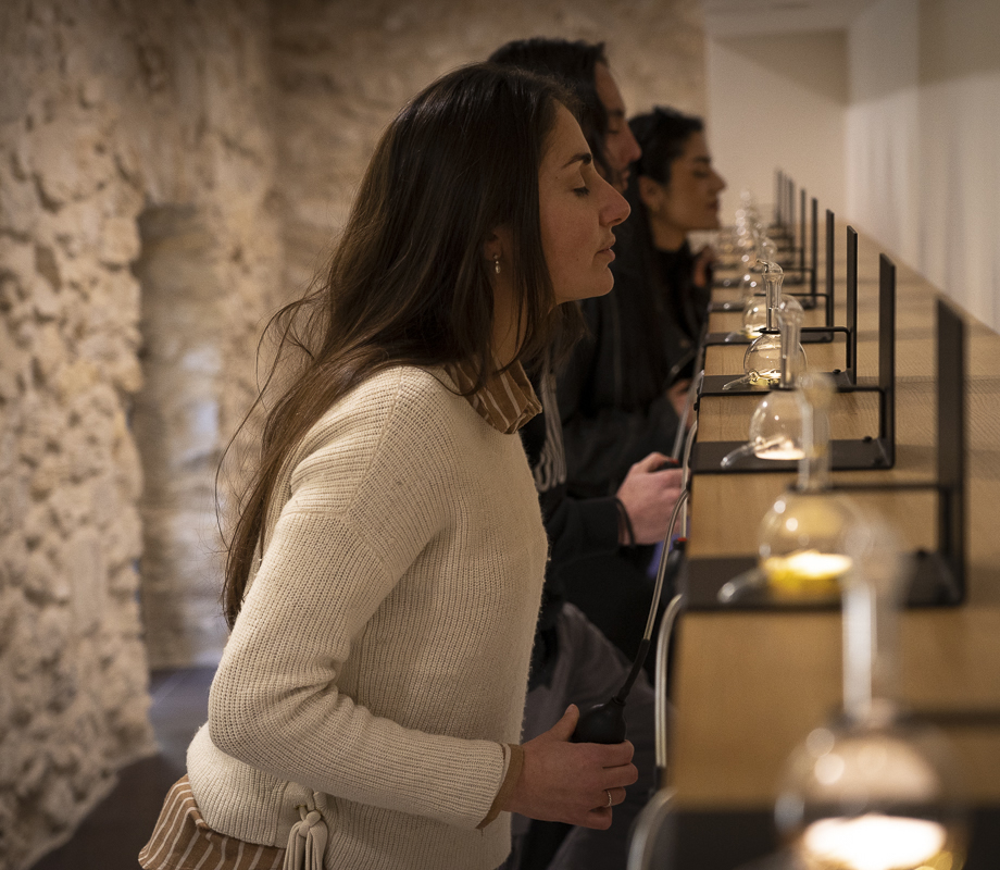 Les parcours de l'Artemisia museum à Forcalquier : sentir