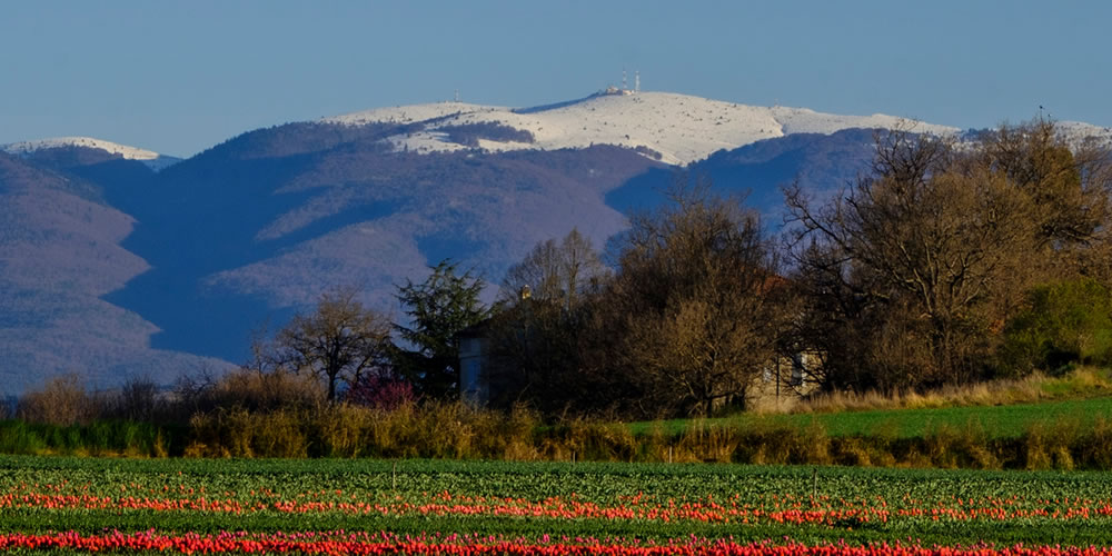 Parcours N°1 : La montagne de Lure