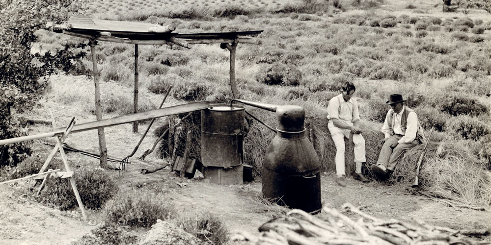 Etape 5 du parcours de l'Artemisia museum : la distillation