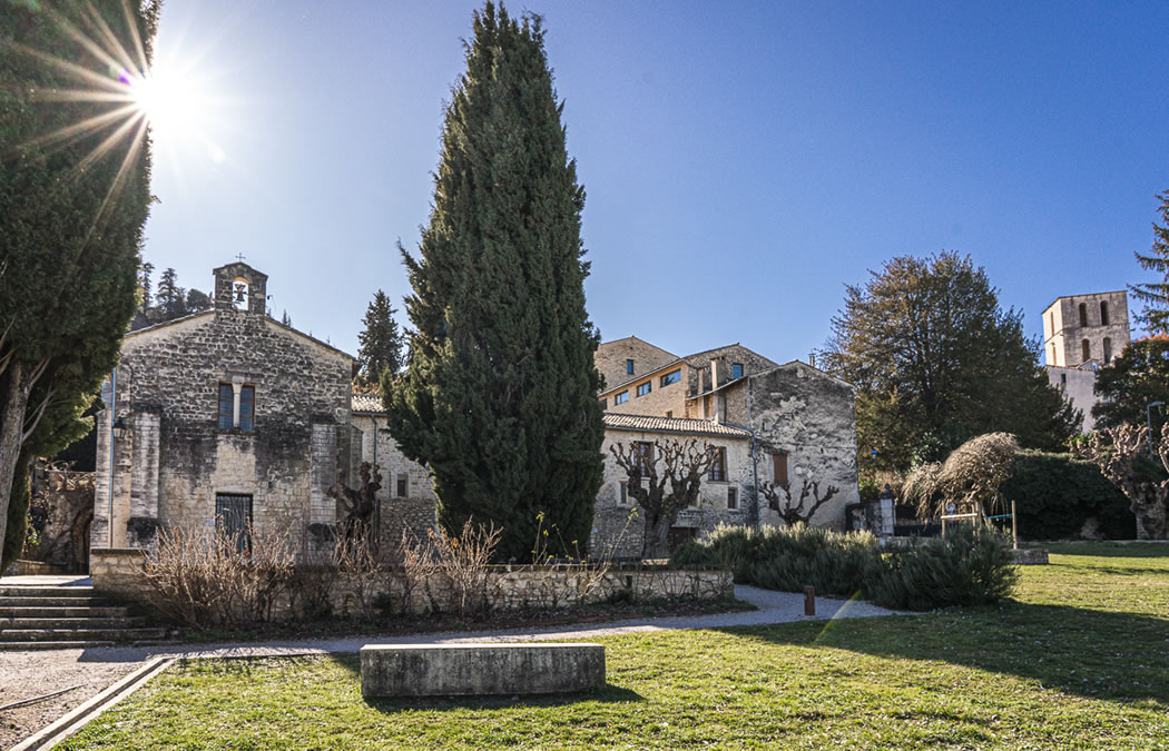 Privatisation de l'Artemisia museum pour les événéments d'entreprises, Forcalquier, Provence