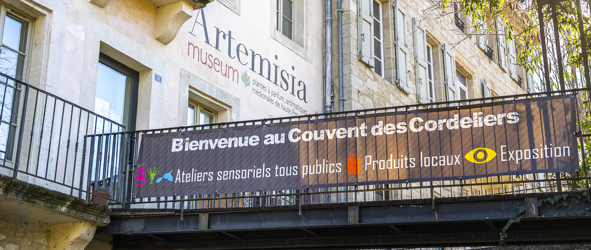 Soutenir l'Artemisia museum, sponsor entreprises : entrée du museum