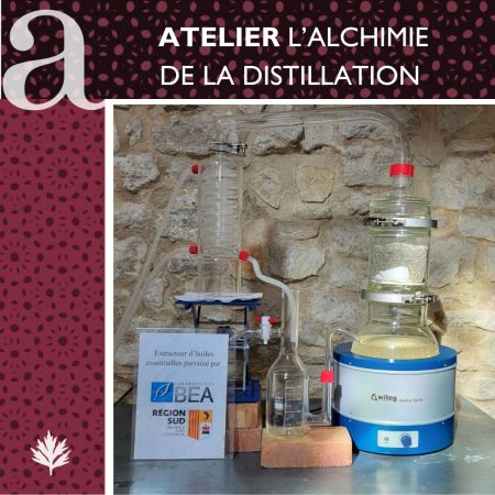 Offres pour les groupes scolaires dans le cadre du pass Culture : l'alchimie de la distillation