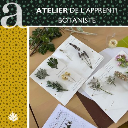 Offre scolaire dans le cadre du Pass Culture : l'atelier de l'apprenti botaniste.