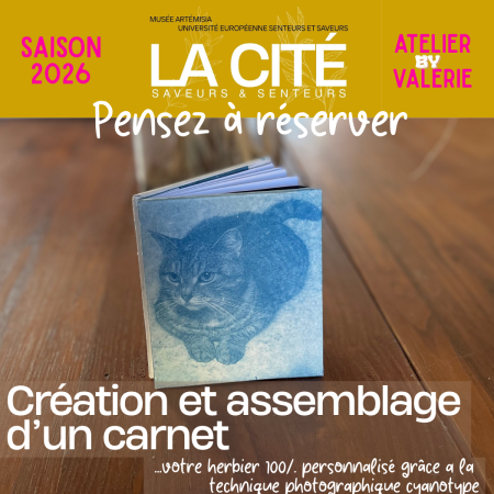 carnet enfant 3