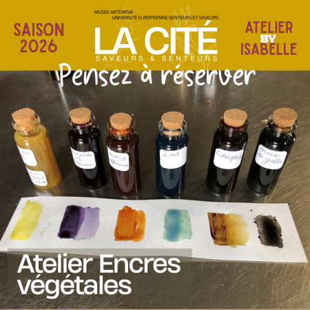 encre végetales